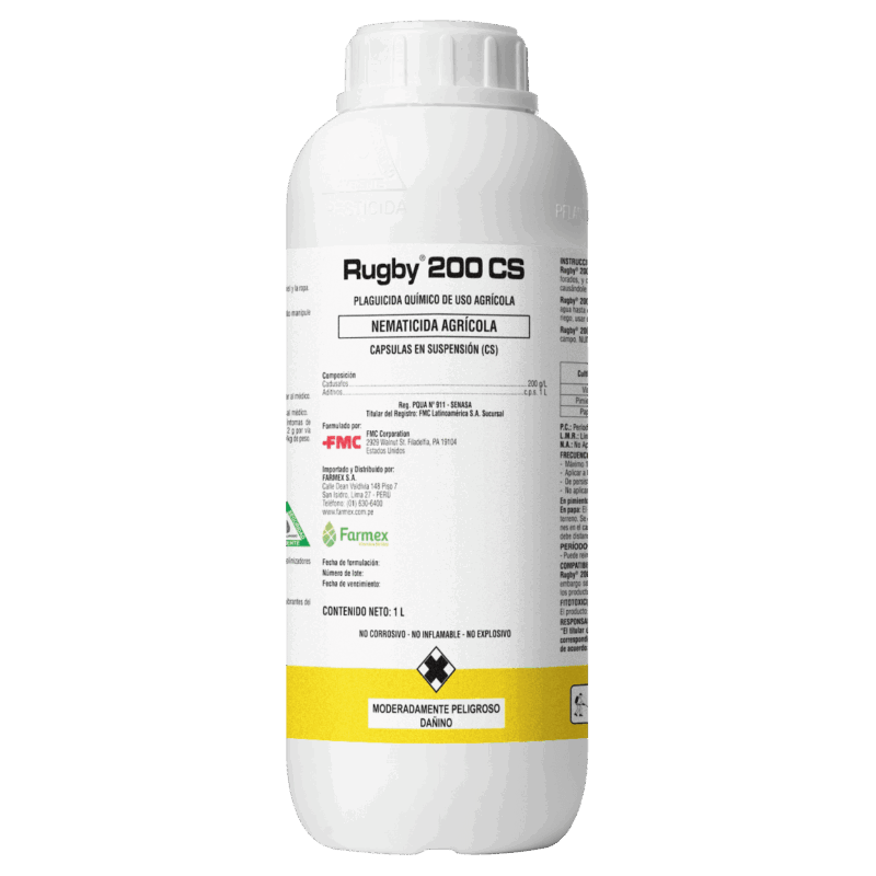 Rugby 200 CS